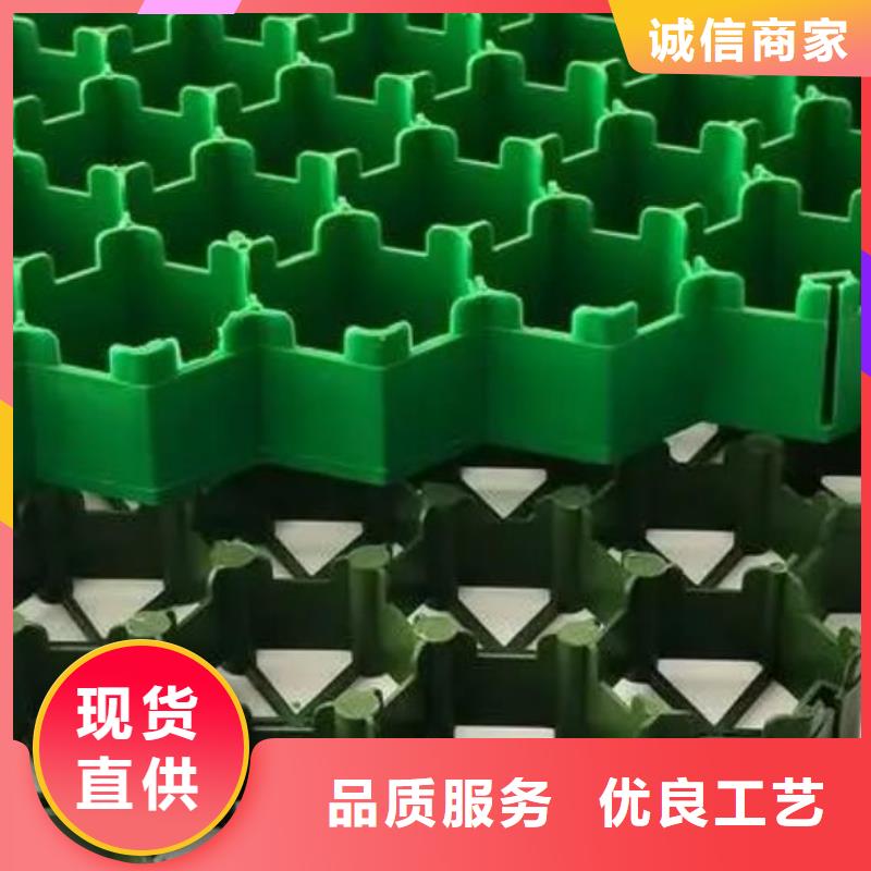 塑料植草格产品-批发零售