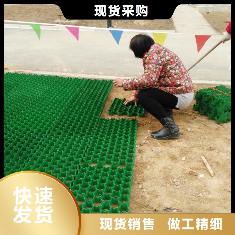 塑料植草格有限公司