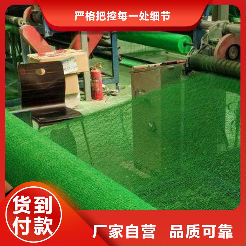 三维植被网型号全-新品发售