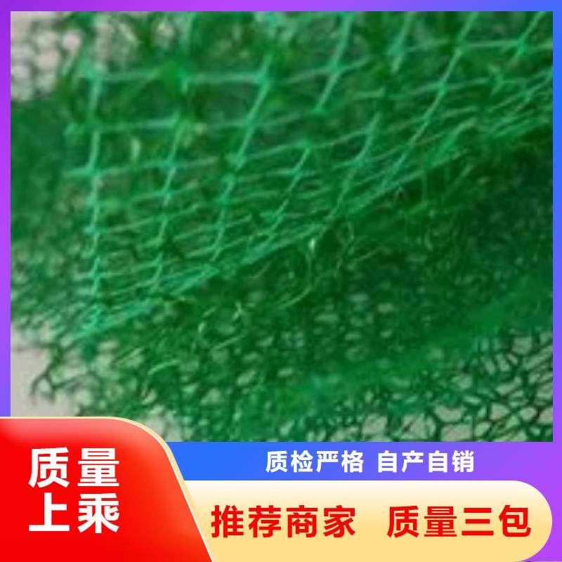 三维植被网植草格0中间商差价