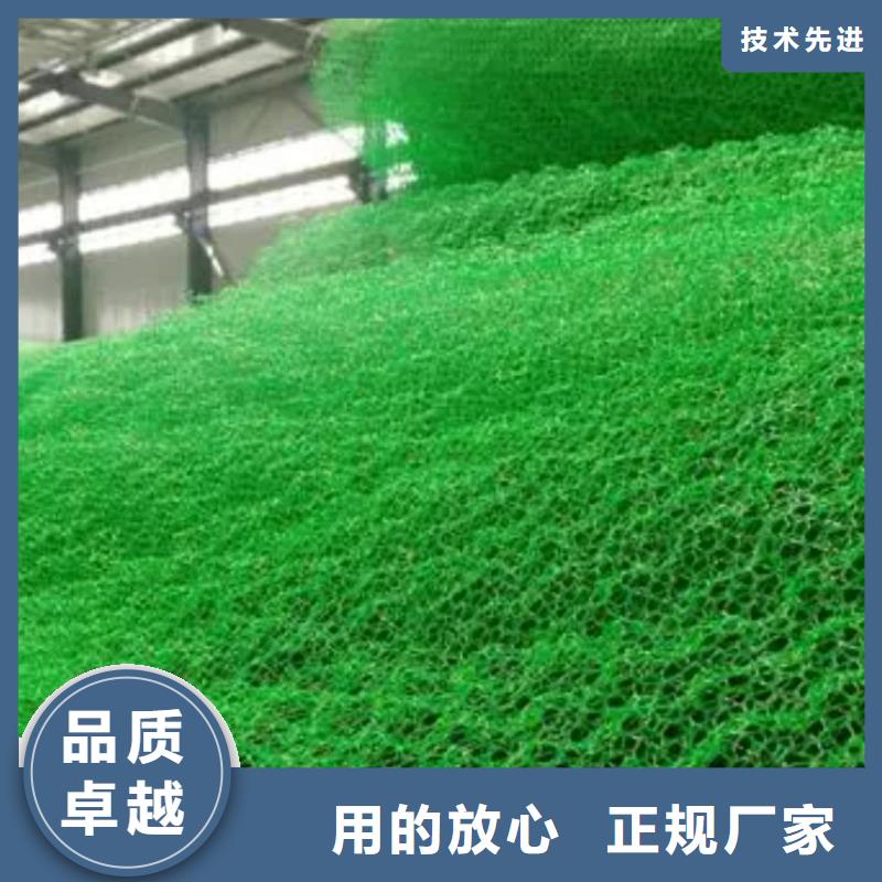 【三维植被网】排水板应用范围广泛