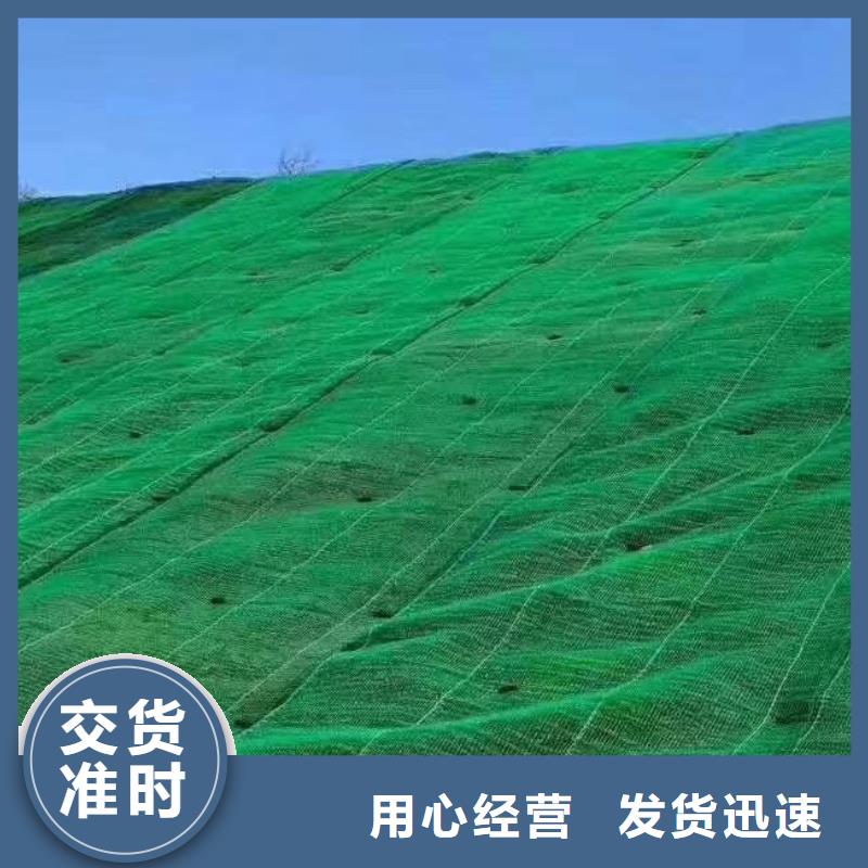 三维植被网本地生产商