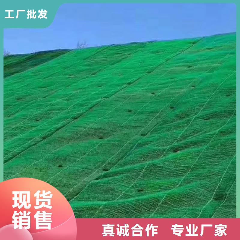 三维植被网_【植草格】把实惠留给您