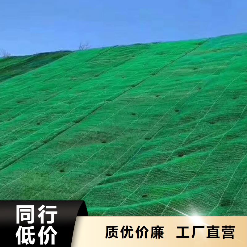 三维植被网化粪池水泥优选好材铸造好品质