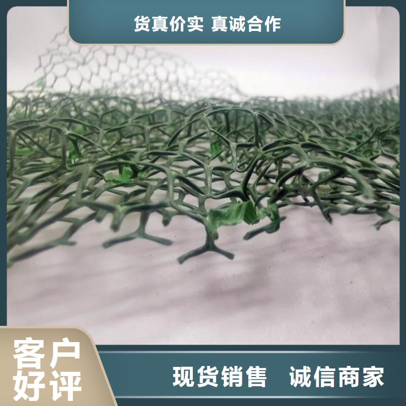 三维植被网价格-生产厂家