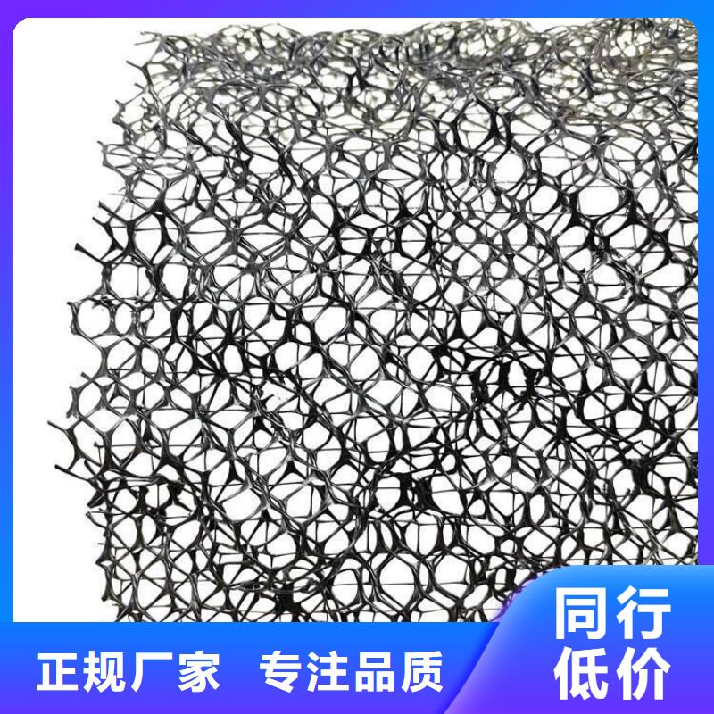 三维土工网垫工厂价