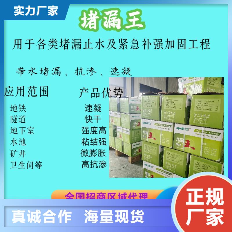 速凝堵漏王品牌厂家