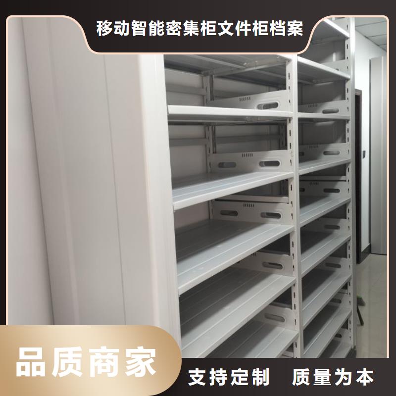 别拘一格【泽信】橱式密集架