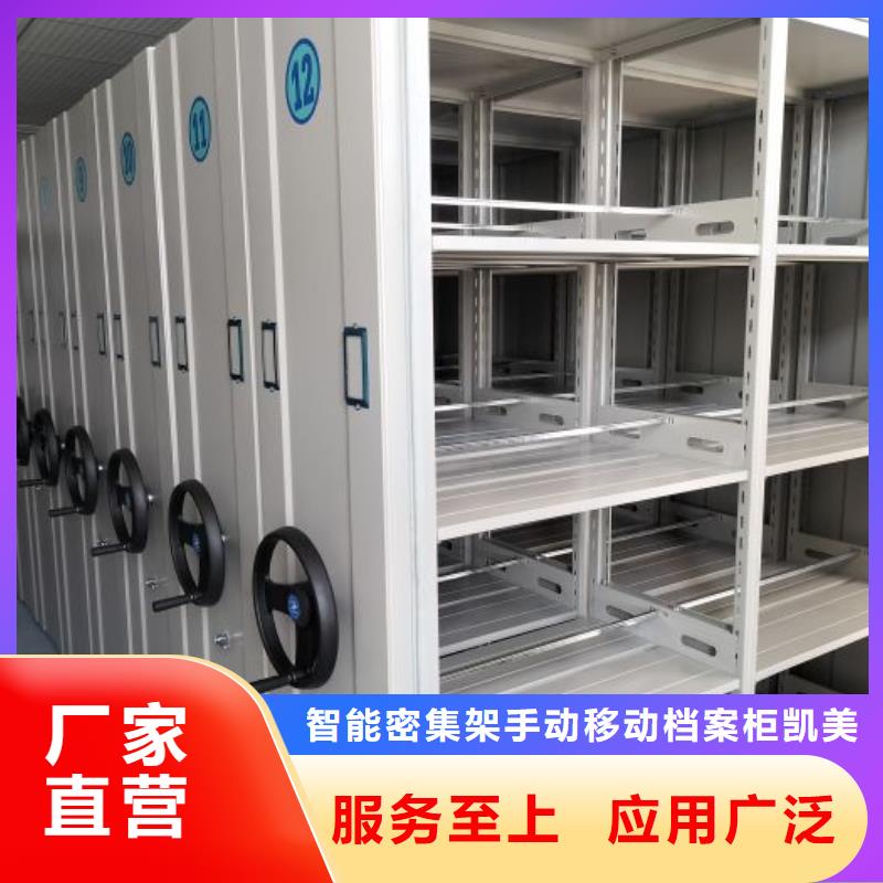 再铸辉煌【凯美】油画密集柜