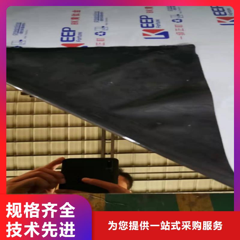 广州定制不锈钢彩板现货批发价格