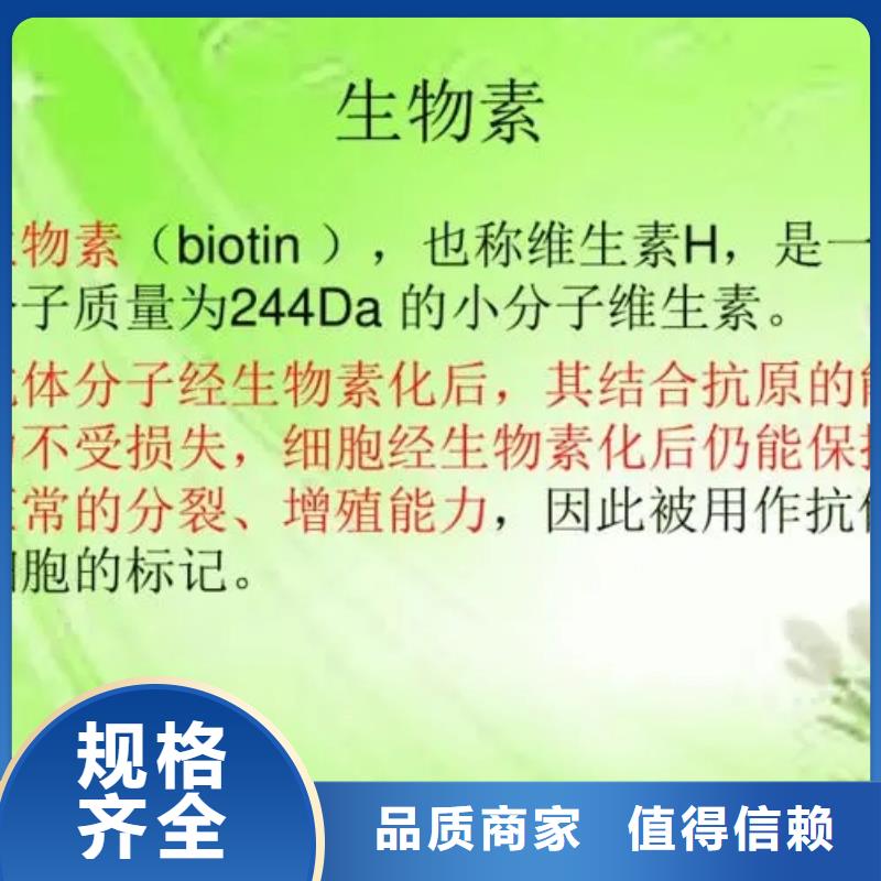 维生素H批发