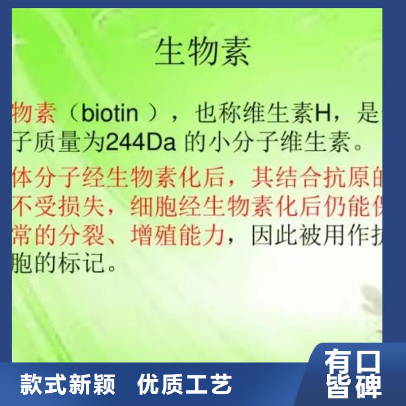 维生素H批发