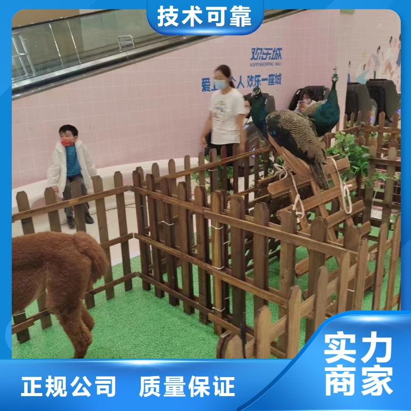 《淄博》经营动物表演租赁周边