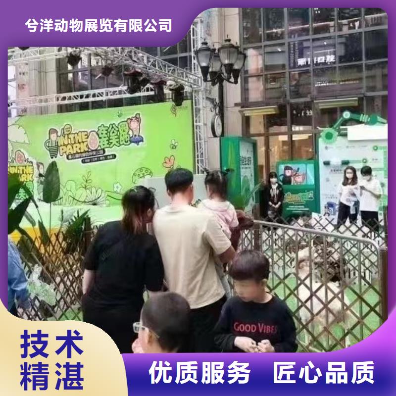 马戏团/羊驼水族海洋展品质好