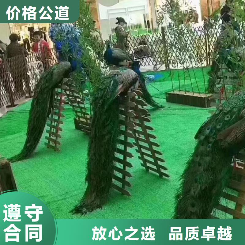 羊驼出租价格