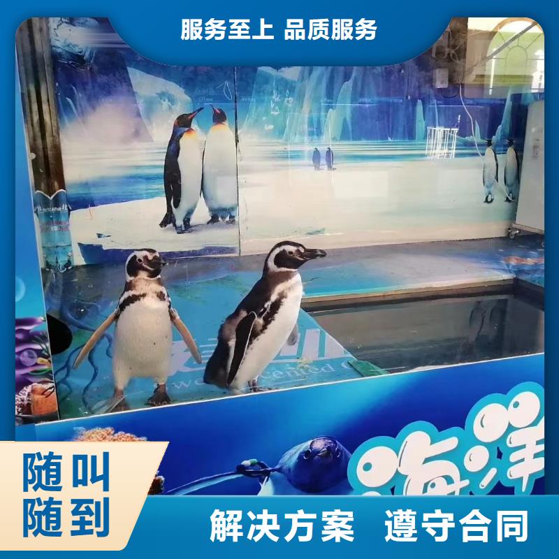 海洋生物展租赁