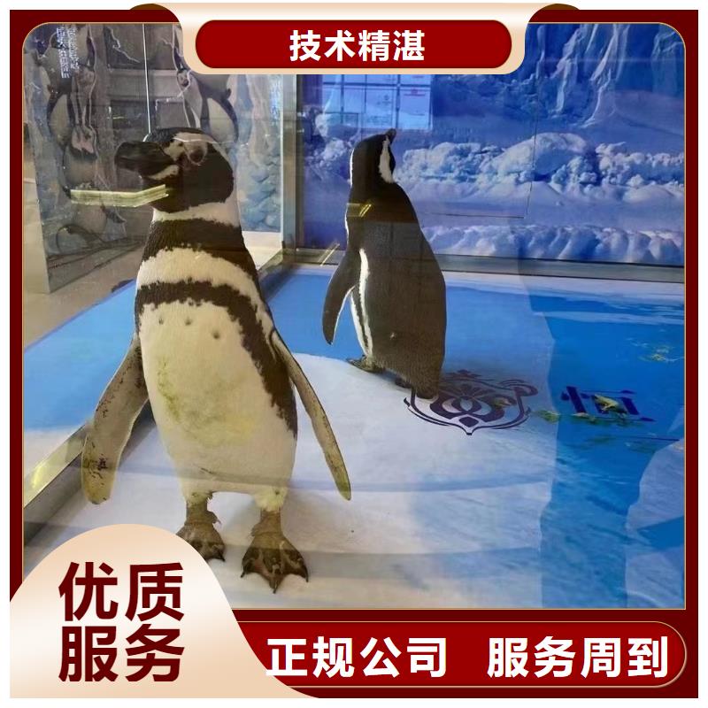 海洋生物展出租公司一手资源