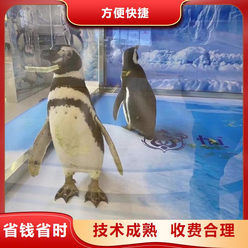 青岛诚信海洋生物展出租一手资源