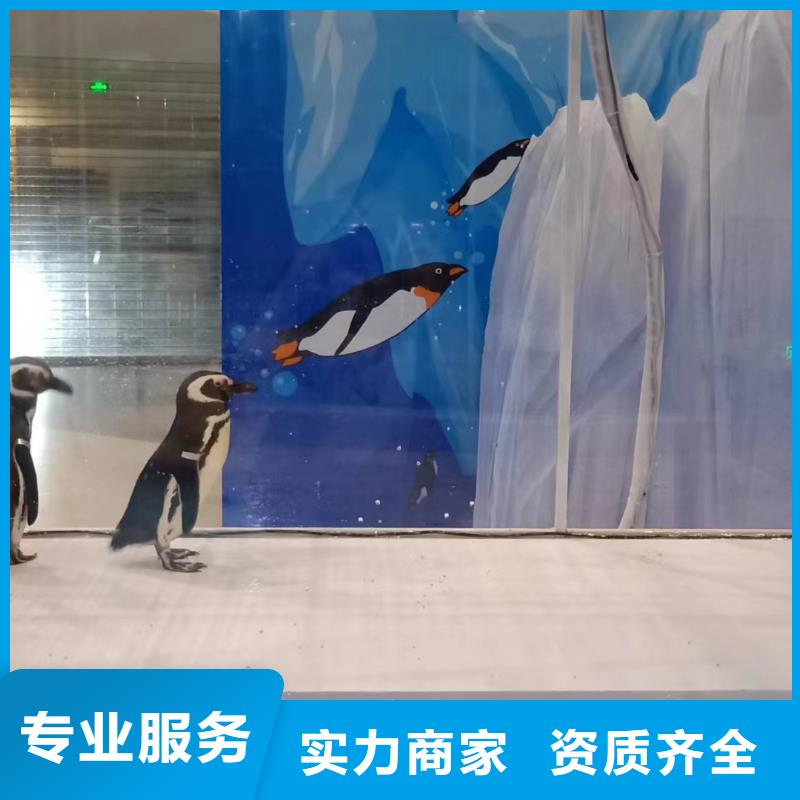 海洋生物展租赁