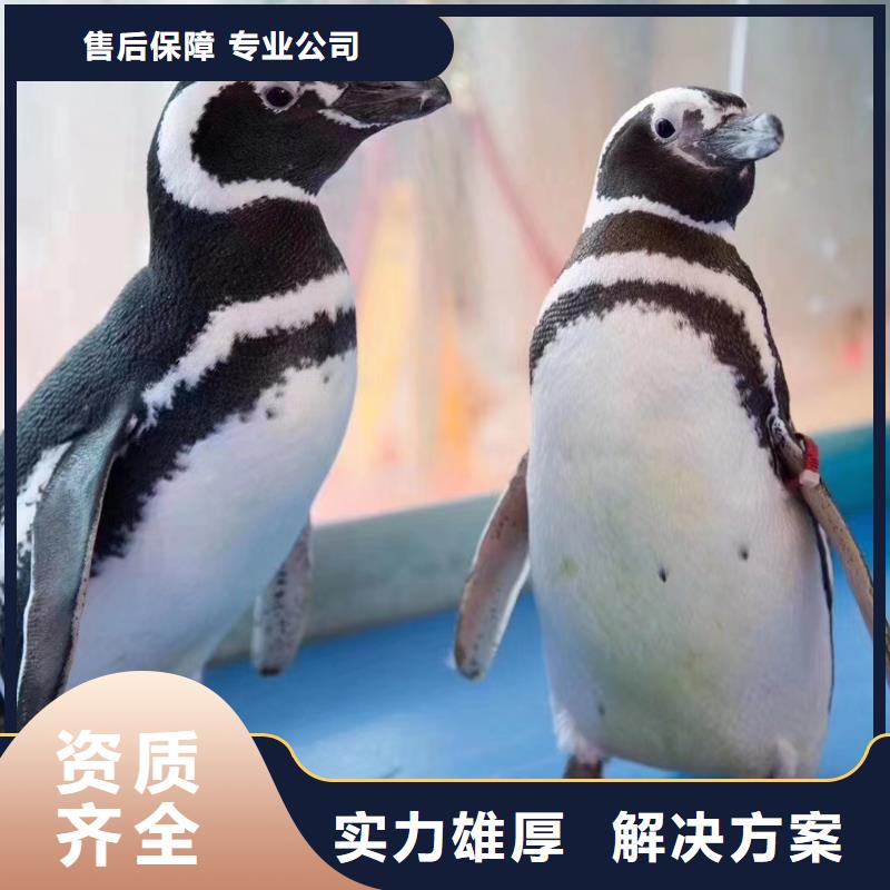 出租海洋生物展品种保证