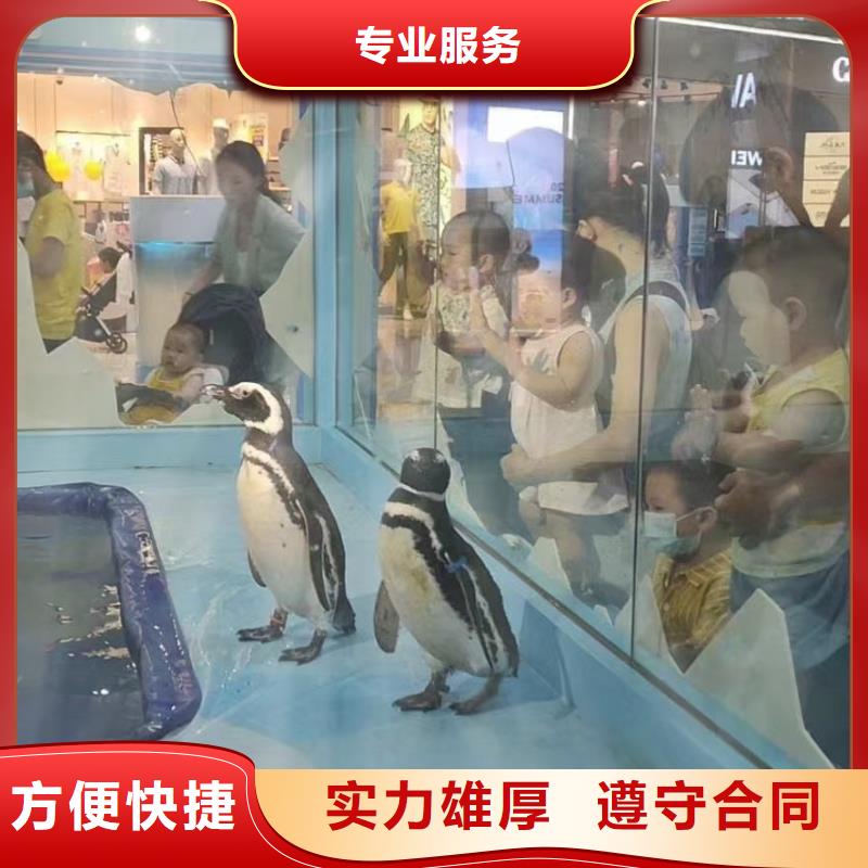 海洋生物鱼缸展租赁活动方案