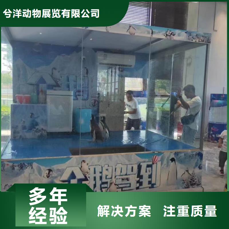 黄石本土海洋生物展租赁经久耐用