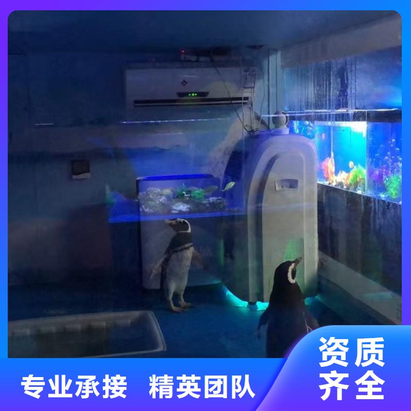 海洋生物展出租