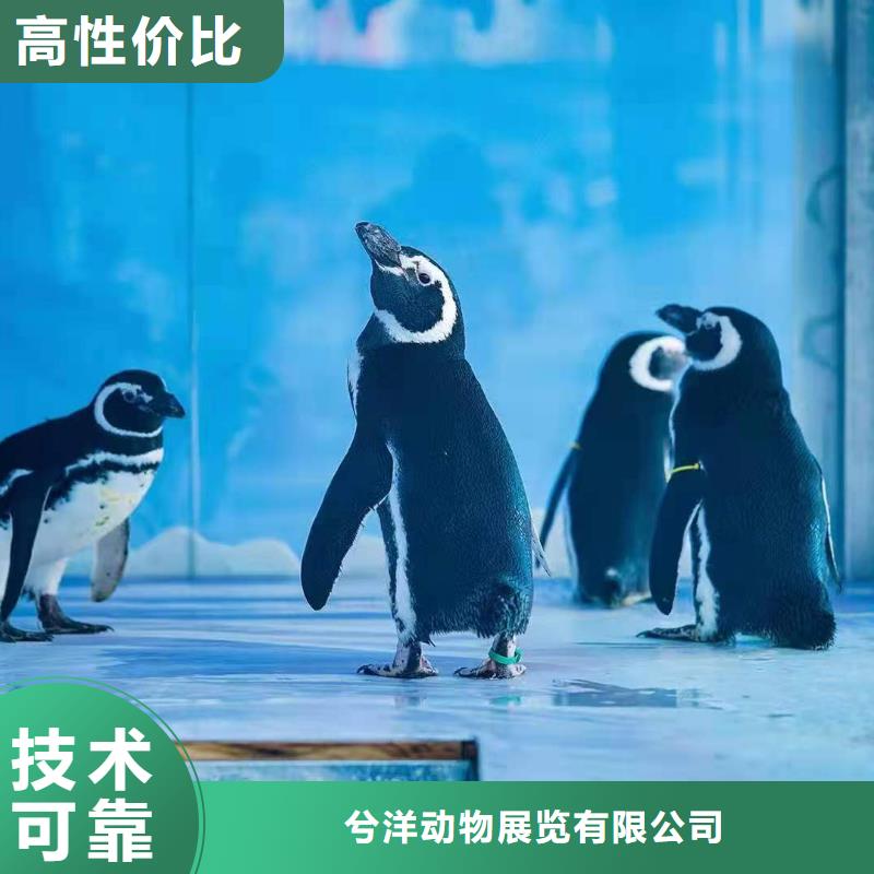 海洋生物展出租