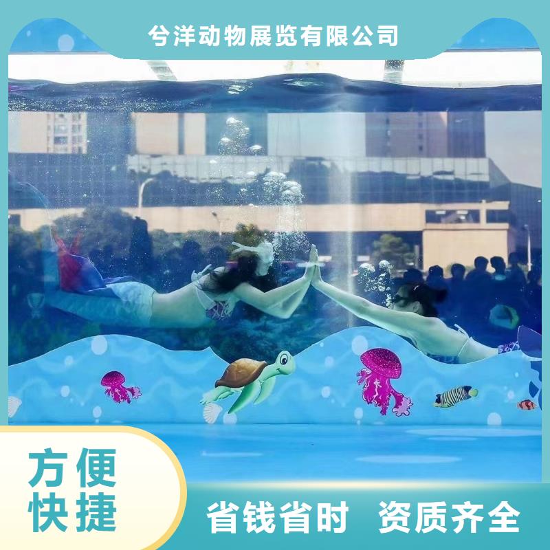 《岳阳》购买海洋生物展租赁