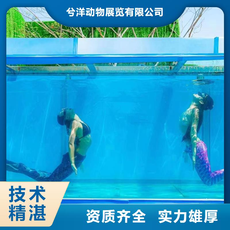 企鹅租赁点击查看