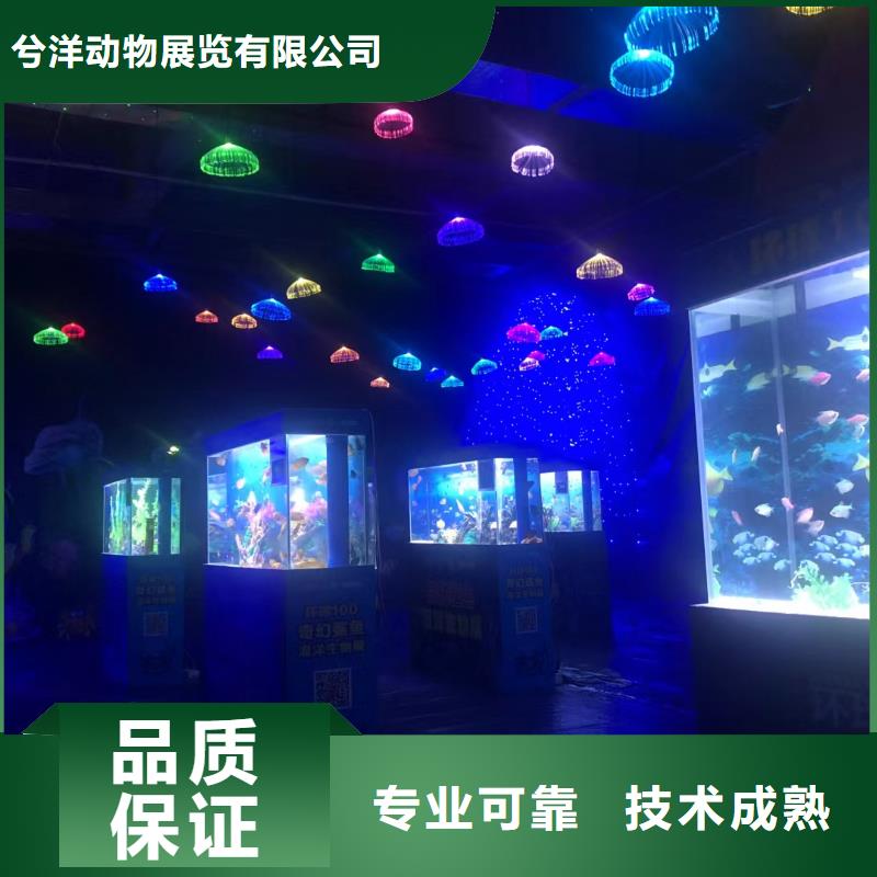 海洋展租赁主题展览