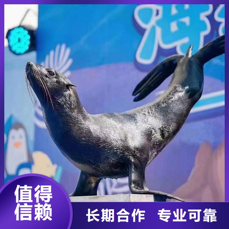 《乌兰察布》经营海狮表演出租一手资源