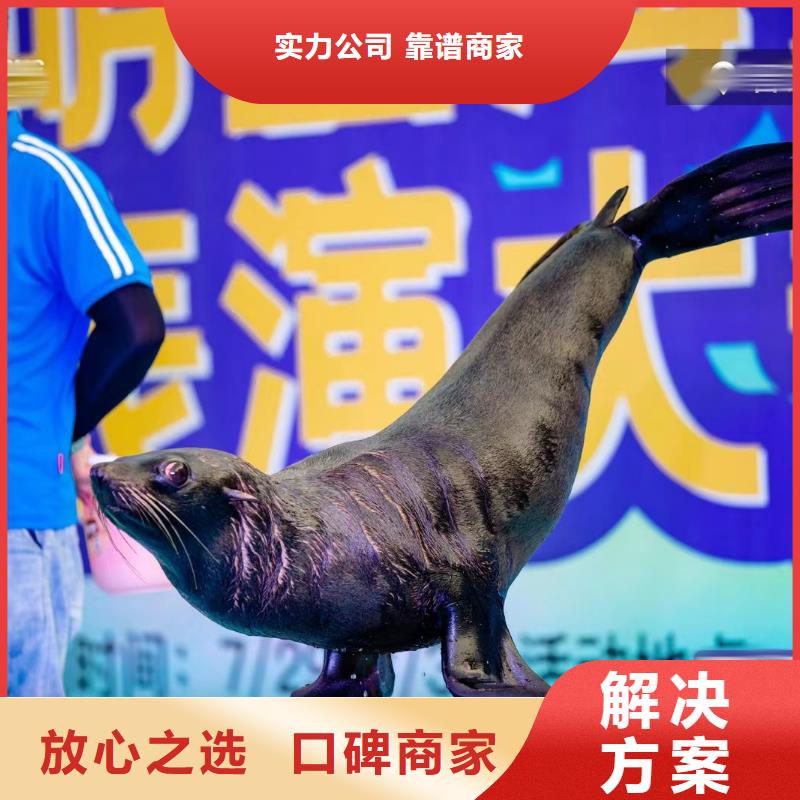 海洋生物展租赁