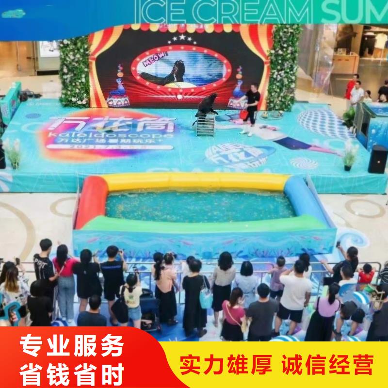 海洋主题动物表演海狮表演出租诚实守信_兮洋动物展览有限公司