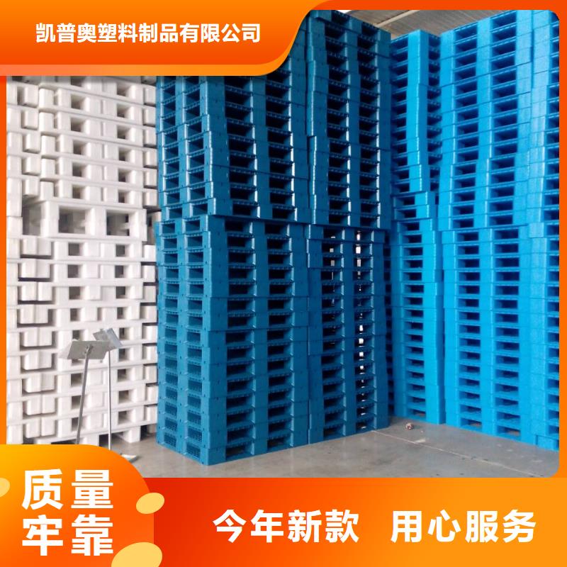 <凯普奥>明水县塑料拍子生产厂