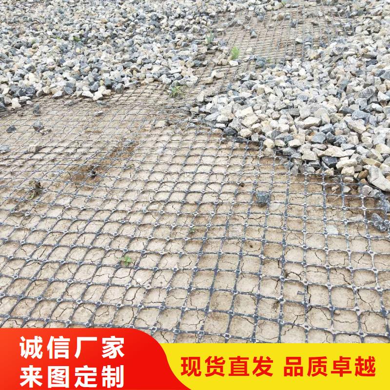 钢塑土工格栅单价