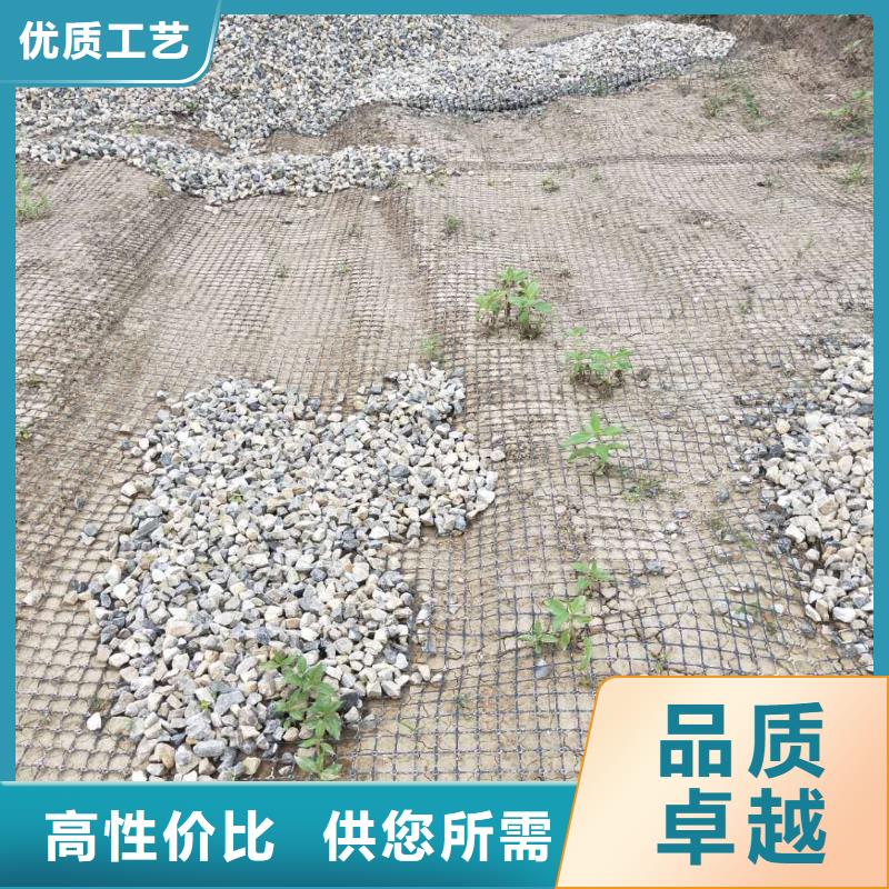 塑料土工格栅直销价格