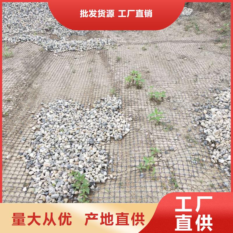 双向塑料土工格栅直销价格