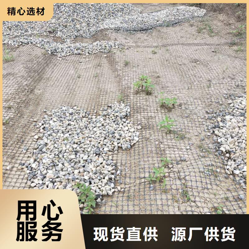 双向塑料土工格栅实力厂家