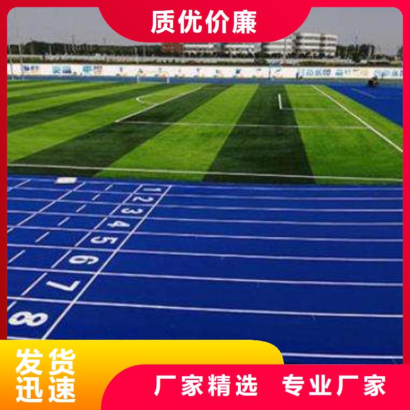 EPDM塑胶跑道_【塑胶跑道】当地货源-同美体育设施(广元市分公司)