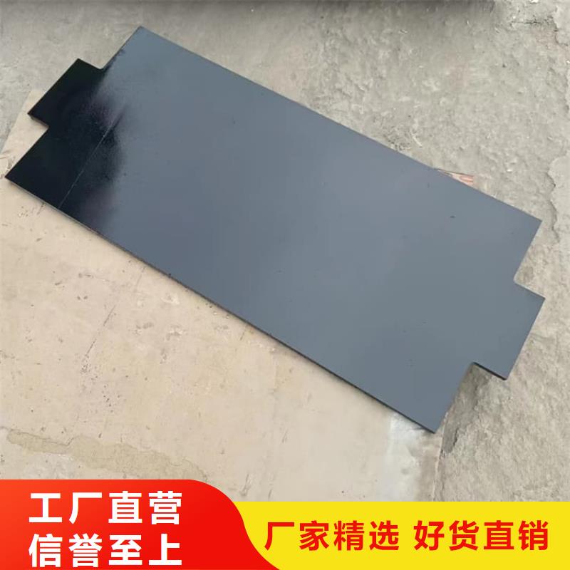 优质的电解潜水配重铅块认准宏兴射线防护工程有限公司