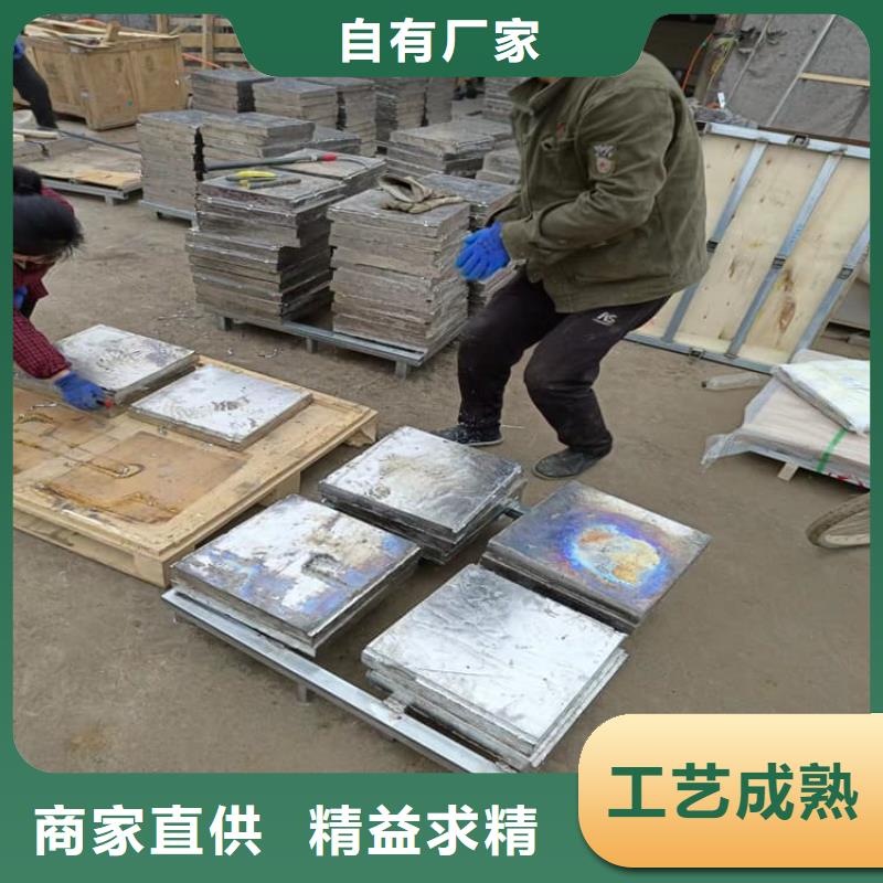 屏蔽射线铅块品质可靠