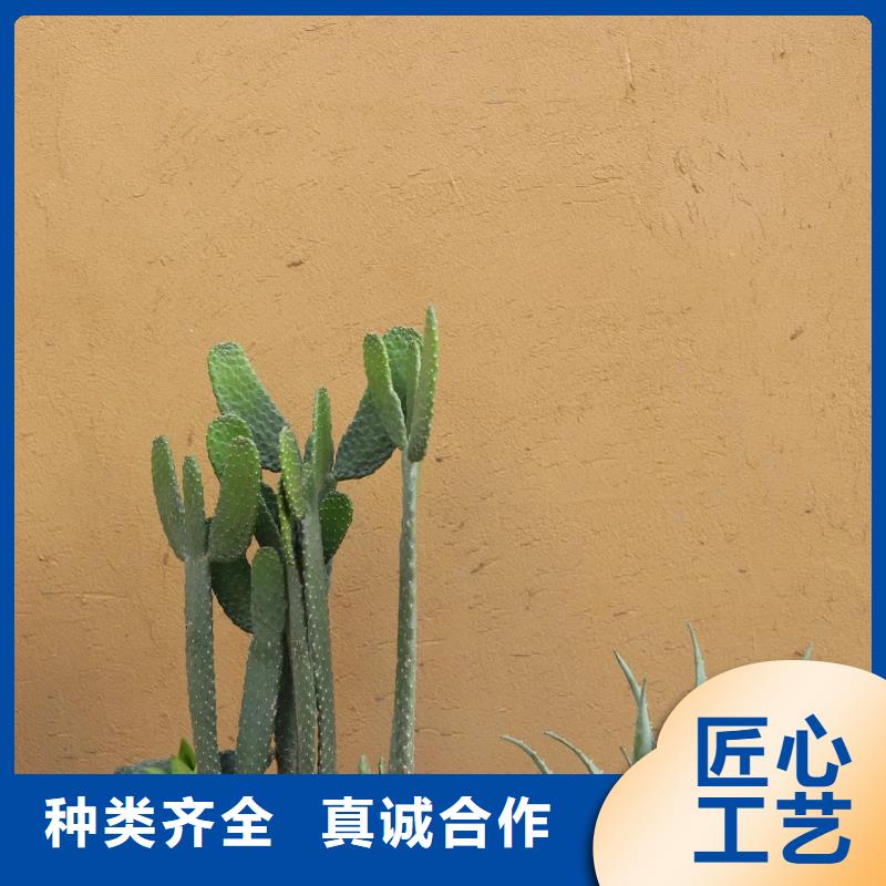 外墙稻草漆效果案例