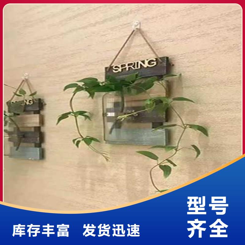 肌理涂料口碑好