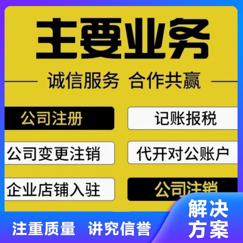 公司解非【财务信息咨询】精英团队