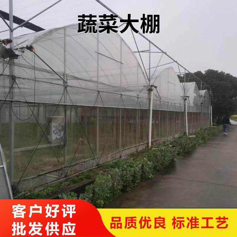 江西省加工定制【金荣圣】永修县蔬菜大棚6米8米【修饰词