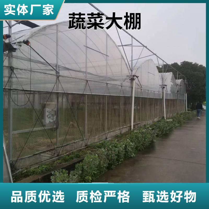 安徽省订购<金荣圣>杜集区葡萄避雨大棚管良心厂家