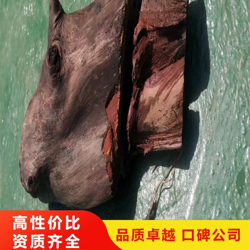 技术可靠【粤龙】广州潜水公司推荐