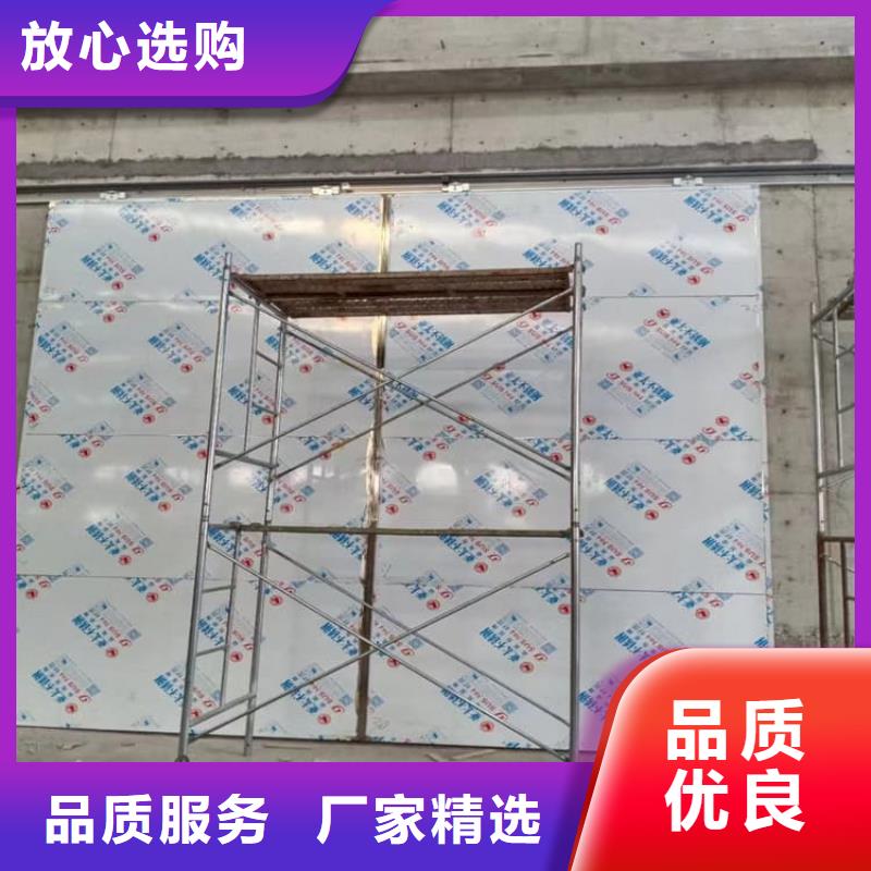SRT铅门实力工厂放心选购