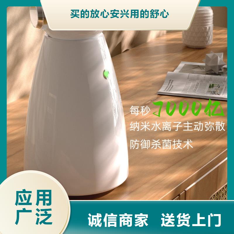 【深圳】室内空气净化器最佳方法小白祛味王